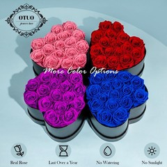 Otuo 16 Preserved Roses in Heart-Shaped Box, Flowers for 16 Roses, Blue