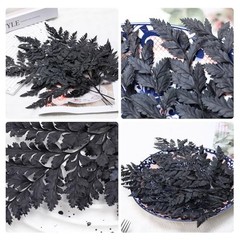 Black Dried Boston Ferns – 10 PCS – 15” Real – Dried Black