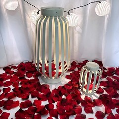 3000 Pcs Red Silk Rose Petals – Scented Realistic Artificial Flower Decor for We