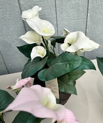 Potted Faux Lilies Twinkle Lites Any Occ Summer Garden Wedding LOCAL PICKUP