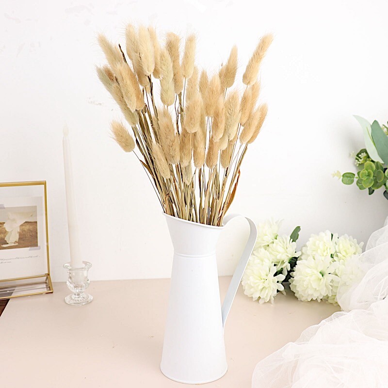 NATURAL 50 Stems 15″ Rabbit Tail Dried Natural Pampas Grass SPRAYS Party Events