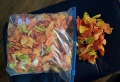 Silk Flower Petals. Wedding. Decor. Bowl Filler. Yellow. Orange. Green.