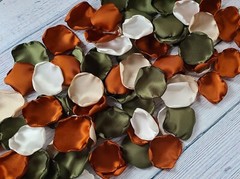 100 Rose Petals Terracotta Wedding Decor Olive Beige Flower Petals Aisle Decor