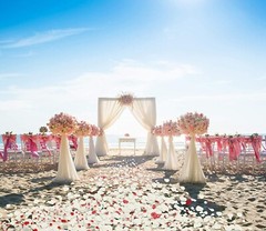 3000 PCS Non-Woven Fabric Artificial Rose Petals for Valentine Day Wedding Flowe