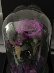 DENIMOMO Flowers Roses Gifts for Women Her,Forever H7.8in W4.7in, Purple Rose