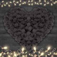 4500 Black Rose Petals for Romantic Weddings & Valentine’s Celebrations