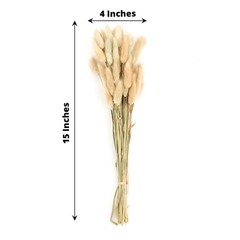 NATURAL 50 Stems 15″ Rabbit Tail Dried Natural Pampas Grass SPRAYS Party Events