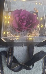 Best Wishes, Preserved Purple Rose With White Lights (In Drawer) Happiness gift