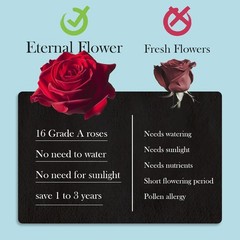Otuo 16 Preserved Roses in Heart-Shaped Box, Flowers for 16 Roses, Blue