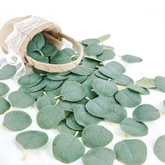 200 FROSTED GREEN Artificial Greenery Eucalyptus LEAVES Party Events Decorations