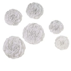 6 pack 12″ 16″ 20″ White Tissue Paper Carnation Flowers Sale Sale Home Backdrop
