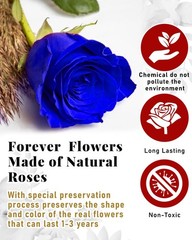 16 Flowers Forever Preserved Roses in Box, Mystic Blue