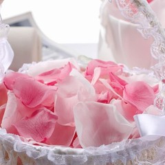 180 PCS Real Pink White Rose Flower Petals Confetti Wedding to Throw 1.75oz