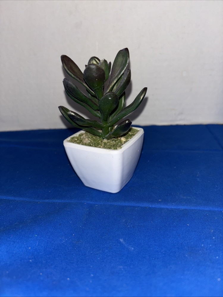 Mini Plant With Pot 5” Tall Artificial desert Grass Restaurant Office Decor