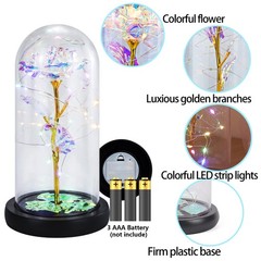 FGSS Eternal-Rose-Flowers-Gift Galaxy-Glass Rose-Flower-Light-Gifts Rainbow