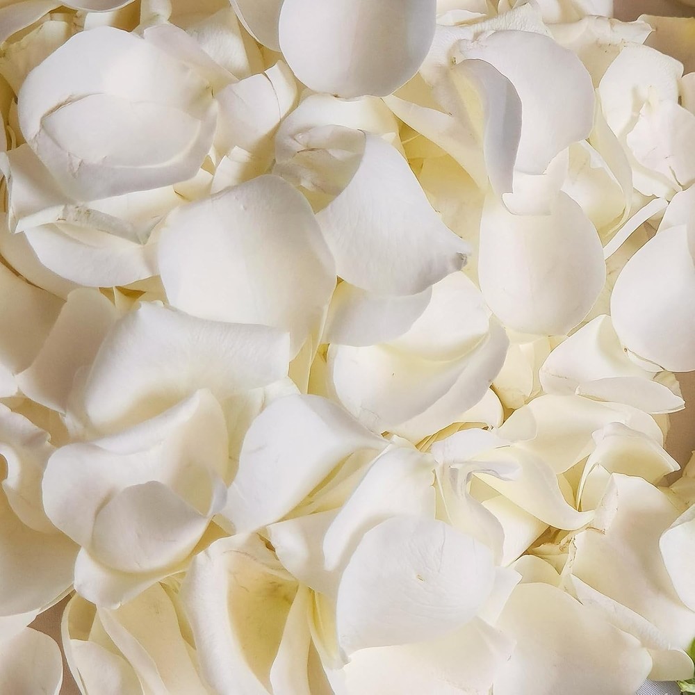 Dried Real White Rose Petals Freeze Preserved Flower Petals 1.75oz Valentine’s