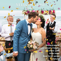 2 QT Mix Biodegradable Flower Petals Confetti, 20+ Cups of Dried Roses & Eucalyp