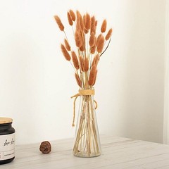 BROWN 50 Stems 15″ Rabbit Tail Dried Natural Pampas Grass SPRAYS Party Events