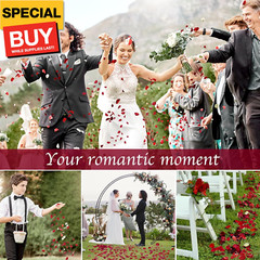 180 PCS Dried Real Red Rose Flower Petals Confetti for Wedding, 1.75oz Preserved