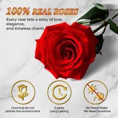 Forever Red Roses in a Heart Shaped Box 16 Preserved Flowers for Heart-red