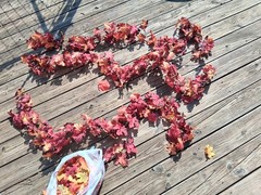 Silk Artificial Fall Maple Leaf Garlands Sprays & Loose Leaves