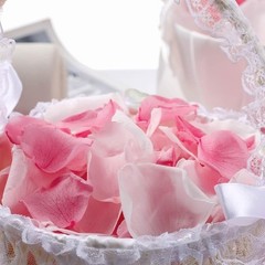 Real Preserved Rose Petals Mixed Floral Decorations Wedding Party Romance New