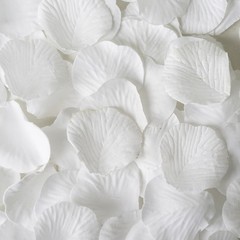 4000 White Silk Rose PETALS Wedding Party Decorations Supplies WHOLESALE