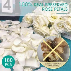 Dried Real White Rose Petals Freeze Preserved Flower Petals 1.75oz Valentine’s
