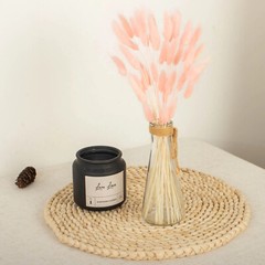 BLUSH 50 Stems 15″ Rabbit Tail Dried Natural Pampas Grass SPRAYS Party Events