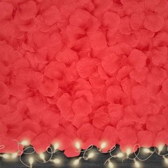 4500 Count Red Rose Petals Easy to Separate for Weddings and Romantic Occasions