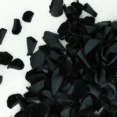 Dried Real White Rose Petals Freeze Preserved Flower Petals 1.75oz Valentine’s