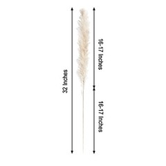 6 WHITE 32″ Natural Pampas Grass SPRAYS Dried Plant STEMS Party Home Decorations