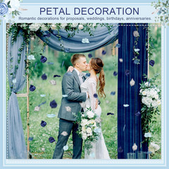 Tigeen 1200 Pcs French Dusty Blue Silk Rose Petals Artificial Flower Petals for