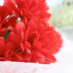 12 Chrysanthemum Mums Bushes Wedding Decoration Centerpieces Bouquet SALE