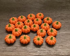 AIICraft 20 Mini Pumpkins Vegetable Fruit Garden (2″ x 1″ x 1″), Orange