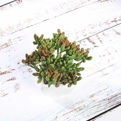 Green 3 Assorted 7″ Faux Jelly Bean Succulent Plants Off White Pots Sale