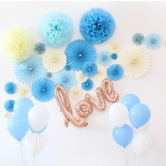 2x DIY Tissue Paper Pom Poms Flowers Birthday Wedding Party Backdrop Home Decor