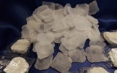 White Flower Petals APPROXIMATELY 1000 PETALS! NEW IN PKG.