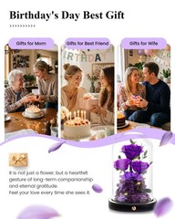 Agrul Birthday Gifts for Women Forever Preserved Flowers one size, Purple
