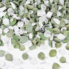 Real White Rose Petals & Natural Eucalyptus Leaves 2.12Oz, Freeze Dried Flower P