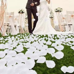 1000pcs Artificial Rose Petals Silk Flower Petal Wedding Aisle Birthday Setting