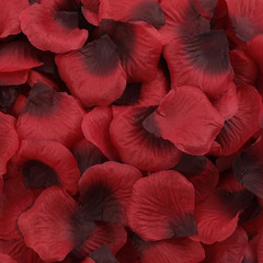 1000 Pcs Artificial Fake Rose Petals,Flower Petals for Romantic Night, Engagemen
