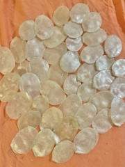Lot Of 43 Loose Preserved Iridescent White Lunaria Silver Dollar Petals