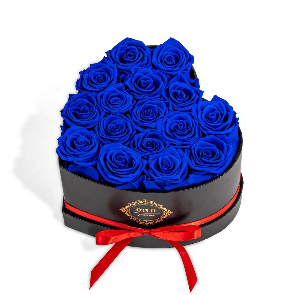 Otuo 16 Preserved Roses in Heart-Shaped Box, Flowers for 16 Roses, Blue