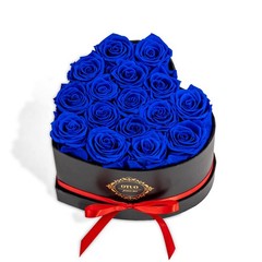 Otuo 16 Preserved Roses in Heart-Shaped Box, Flowers for 16 Roses, Blue