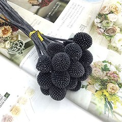 20Pcs Natural Dried Flowers Billy Balls Flowers 16″ Dried Flower Bouquet Black