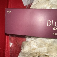Sola Wood Flowers By Blooming Autumn NIP 20 Cream Flowers (10 Packs)