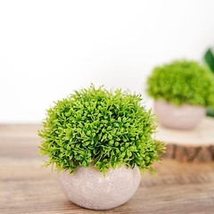 2 Green Gray 5″ Mini Boxwood Topiary Potted Artificial Plants Home Decorations