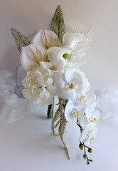 AUSTRALIAN NATIVE FLOWERS EUCALYPTUS GUM SEED STEM ARTIFICIAL GREENERY STEMS