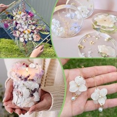 Natural Hydrangea Petals Wedding Decor Romantic Parties Reusable Eco-Friendly US